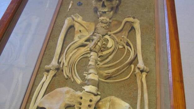 Conservan el esqueleto de un guanche de 1,75 metros procedente de San Miguel