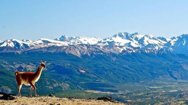 El parque privado Patagonia abrirá en octubre