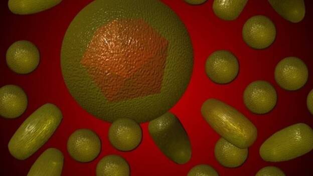 Un estudio muestra que la hepatitis viral provoca más muertes que el VIH