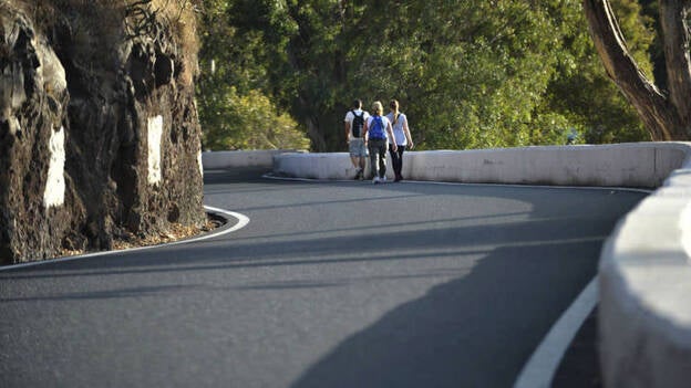 La Virgen del Pino baja de su camarín