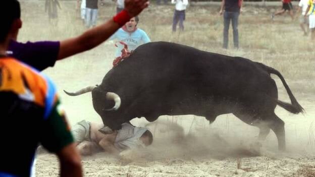 Al menos cuatro heridos por asta de toro en el torneo del Toro de la Vega