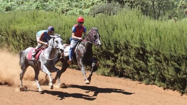 Caballos y Manzanas en La Laguna de Valleseco