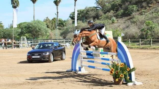 Arranca la XVII Copa Audi de Hípica en Bandama