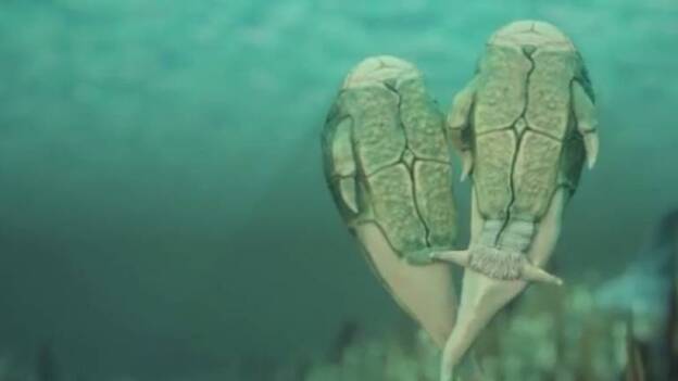 Descubren el origen del sexo a través del estudio de peces prehistóricos