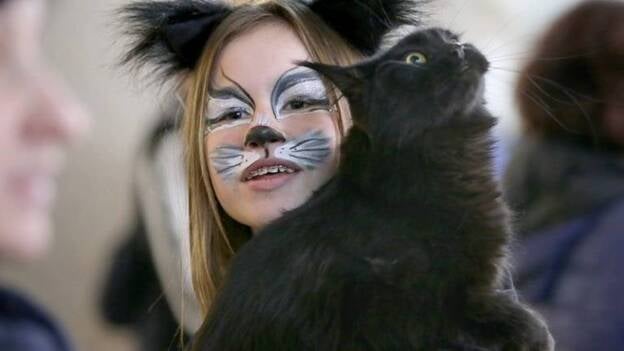 Amantes de los gatos