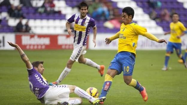 La excelencia de Araujo