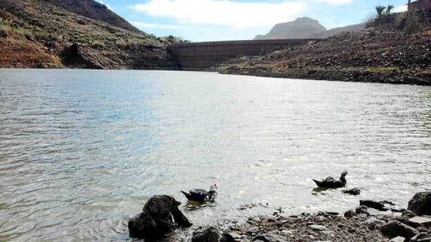 5.000 millones de litros regalados