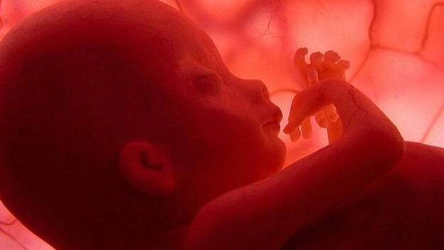 La tasa de fertilidad española es la más baja de toda Europa tras Polonia