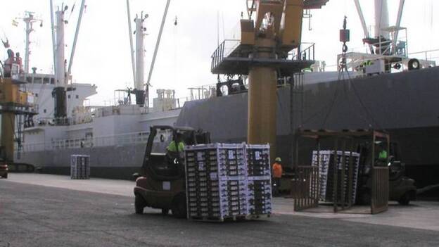 Canarias exporta 21,8 millones de kilos de tomate en la primera mitad de la campaña de la zafra