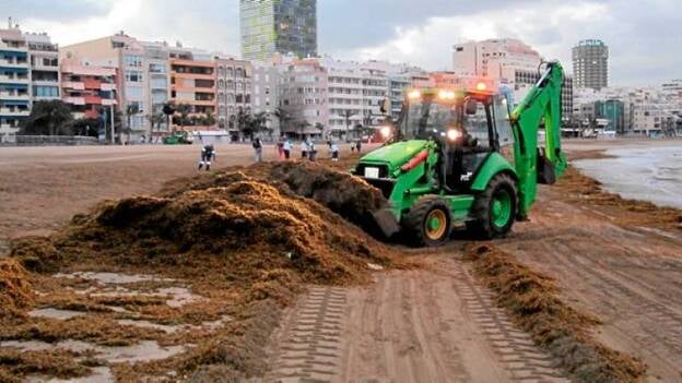 El ITC investiga la seba de Las Canteras para abonos