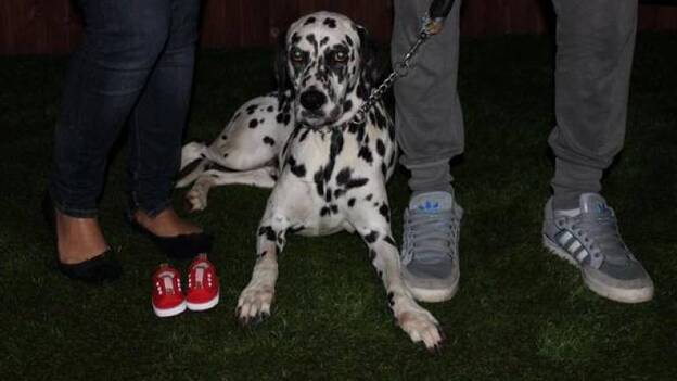 La candidata socialista Patricia Hernández anuncia que está embarazada