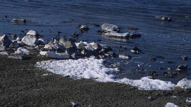 Descubren una bacteria que produce hidrógeno en condiciones extremas