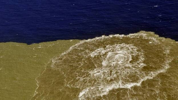 La erupción de El Hierro provocó la aparición de microorganismos de fuentes hidrotermales profundas