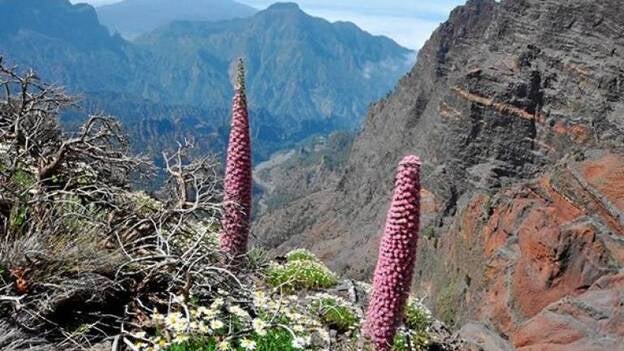 Tasa para los parques nacionales