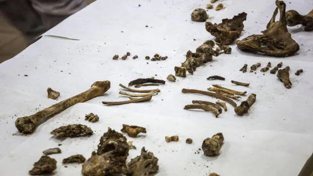 Creen haber hallado los restos óseos de Miguel de Cervantes y su esposa