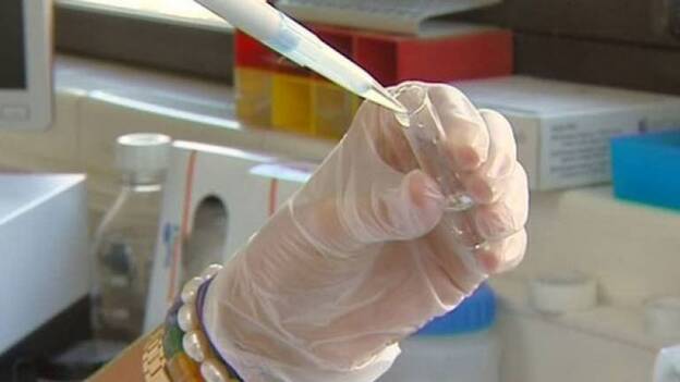 La burundanga o droga del violador, un mito... muy real