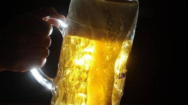 El consumo moderado de cerveza no modifica la circunferencia del brazo, cadera y cintura