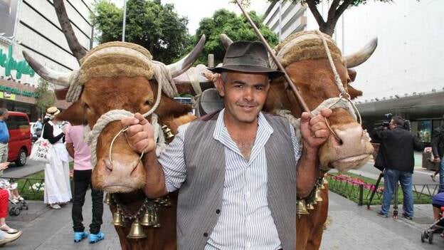Fiesta canaria en la capital