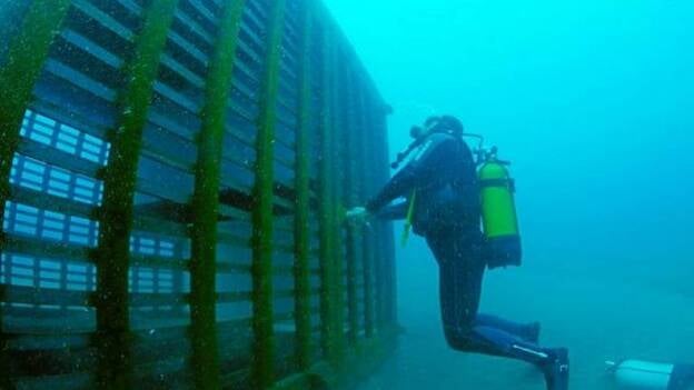Una bodega en el fondo del mar