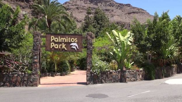 Palmitos Park recibe el certificado de excelencia Tripadvisor por cuarto año consecutivo