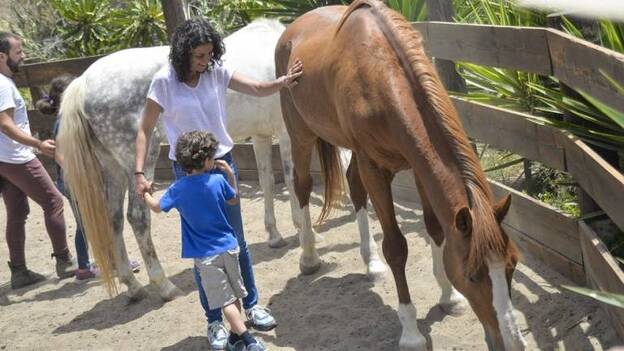 Crecimiento personal asistido con caballos