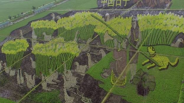 Arte 3D en el campo