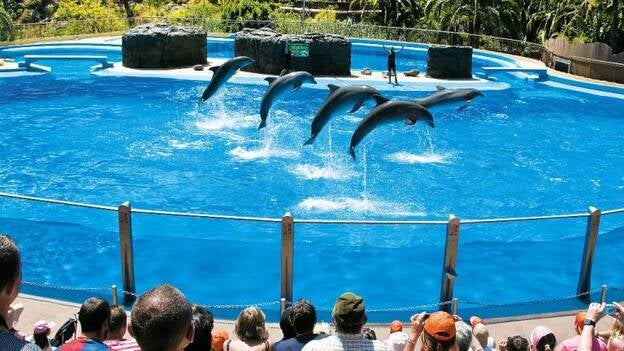 Los viajeros sitúan a Palmitos Park en el top mundial de centros de ocio