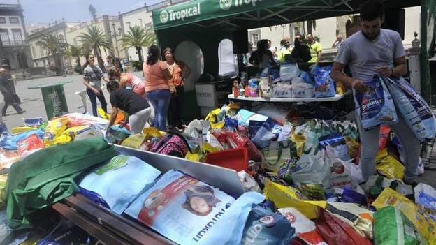 Recaudan en Las Palmas 32,5 toneladas de alimentos para animales abandonados