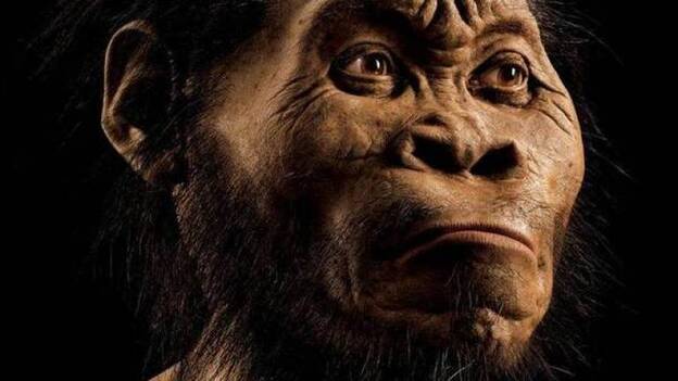 Homo naledi, una nueva especie de homo con rasgos de Australopithecus