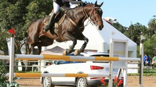 Gran inicio de la Copa Audi