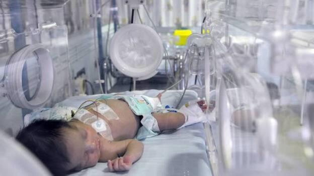 Vuelven a reducirse los nacimientos, tras el alza de 2014, y suben las muertes