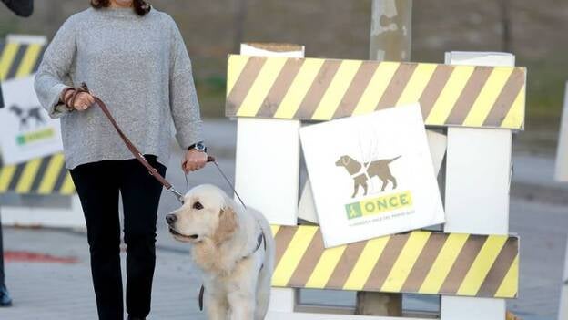 Santamaría 'a ciegas' con un perro guía