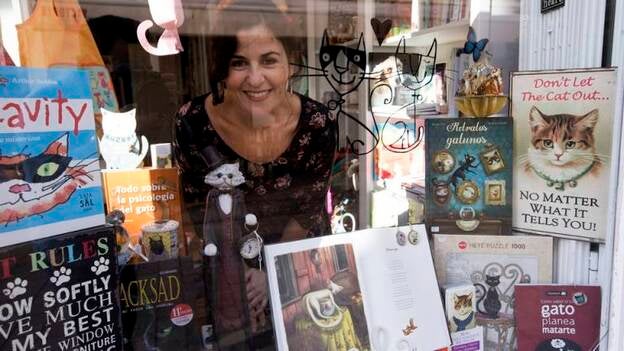 Literatura gatuna, historias felinas reunidas en una librería especializada