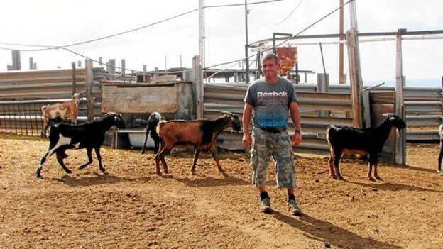 Las cabras alimentadas con el lactosuero producen más leche