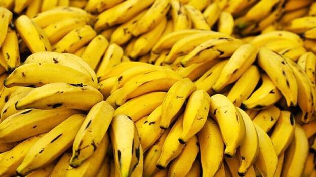 400.000 kilos de plátanos para familias necesitadas