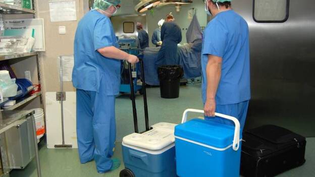 El Hospital Doctor Negrín fue el que donó más órganos en 2015