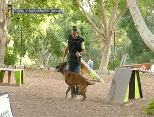 Maspalomas abre su primer parque canino con circuito de adiestramiento y competición