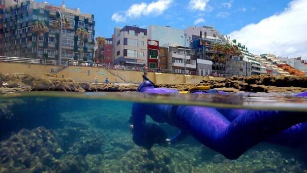 Las Palmas de Gran Canaria promociona el Fotosub 2016 en la feria Dive Travel Show de Madrid