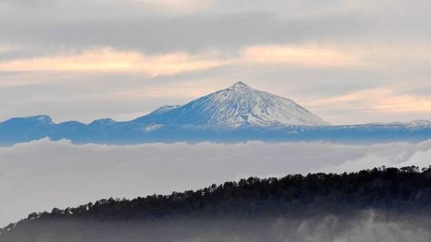 La calima trastoca el invierno