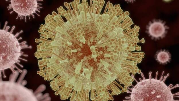 Crean en Japón un sensor que detecta virus infecciosos en cinco minutos