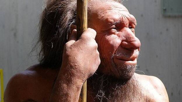 Los neandertales europeos podrían haber sido infectados con enfermedades traídas de África por el Homo Sapiens