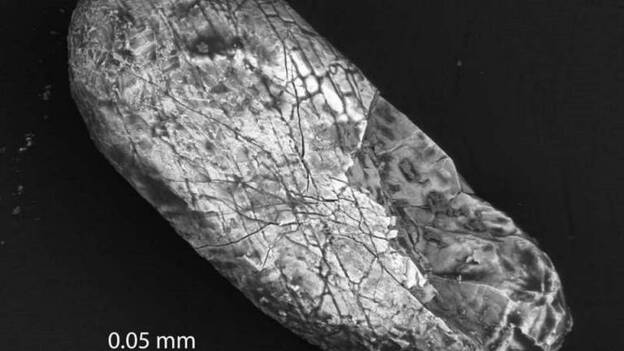 Los cristales más antiguos del planeta tienen origen extraterrestre