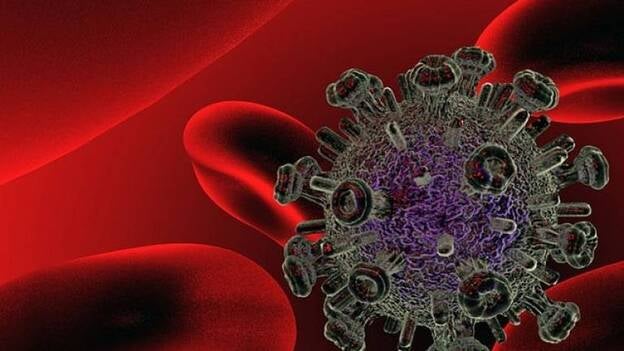 Investigadores del CSIC descubren que las bacterias del intestino influyen en la recuperación de las personas con VIH