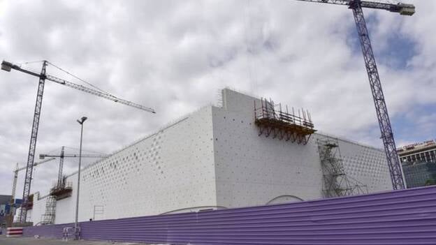 Los tiburones asoman por el acuario