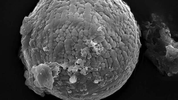 Meteoritos de 2.700 millones de años revelan secretos de la antigua atmósfera