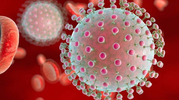 Primer contagio de zika por transmisión sexual en Alemania