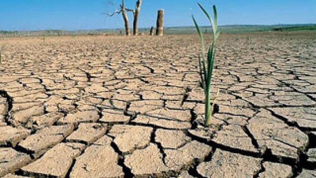 El 20% del territorio español ya se ha desertificado y otro 1% está degradándose