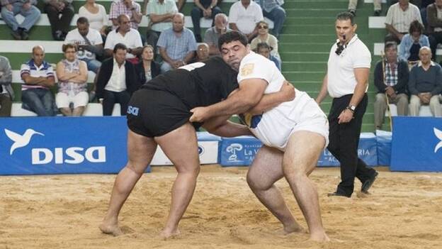 Lucha canaria, vela latina y arrastre de ganado tendrán un lugar destacado en las actividades del Día de Canarias