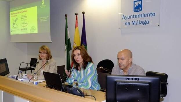 La red 'Málaga Sin Gluten' incorpora seis nuevos establecimientos con menús aptos para celíacos