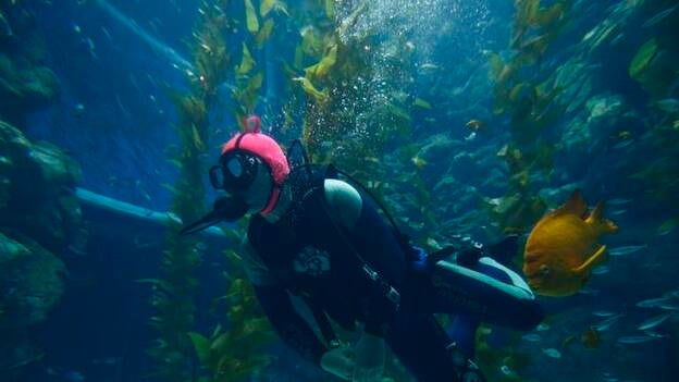 Wanda dispuesto a derrotar a Disney